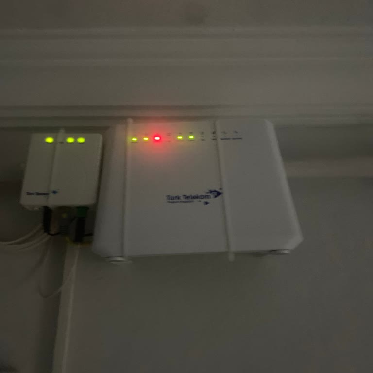 Statik IP Aldım, İnternetim Gitti: Milleni'nin Çözüm Bekleyen Arızası