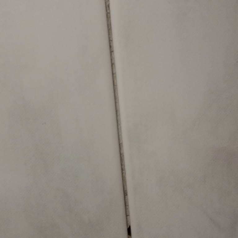 Karcher SC3 Hayal Kırıklığı: Beklentileri Karşılamıyor