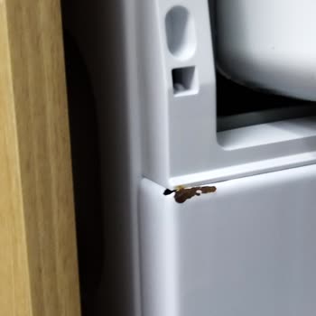 Arçelik Grubu Ürünlerinde Beklenmedik Küflenme Sorunu