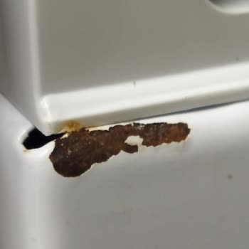 Arçelik Grubu Ürünlerinde Beklenmedik Küflenme Sorunu