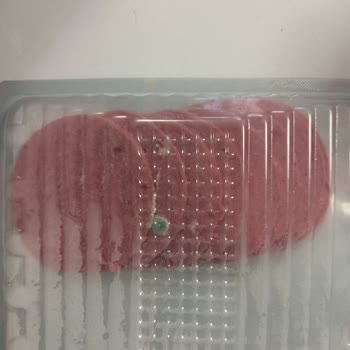 Küflü Ürün Sorunu Ve Saklama Koşulları Hakkında Şikayet