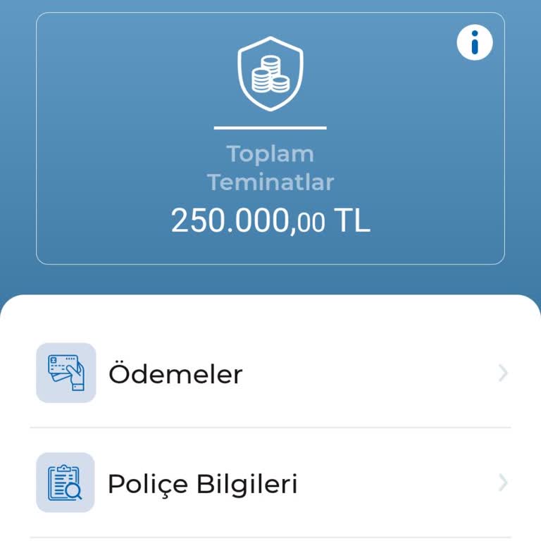 Sigorta İadesinde Yaşanan Gecikme Ve Kurumlar Arası Yönlendirme Sorunu
