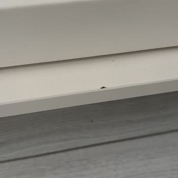 Maq Home Müşteri Memnuniyetsizliği