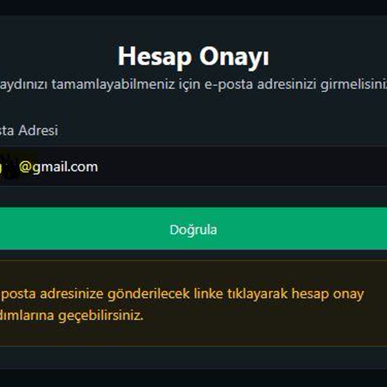 Bitci Müşteri Hizmetleri İlgisizliği Ve Sisteme Giriş Sorunu