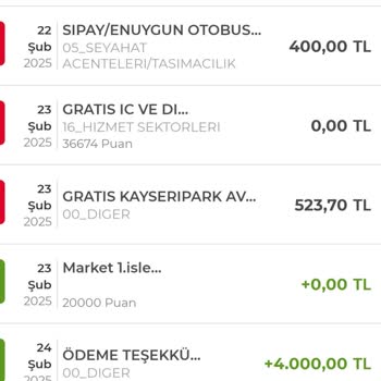 Kredi Kartı Kampanya Puanı Yüklenmedi