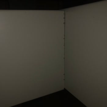 Kelebek Mobilya: Hayal Kırıklığı Ve Tasarım Hatası