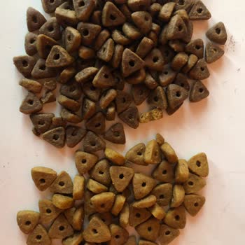 Yenilenmiş Paket Kedilerimi Hasta Etti Ve Param Çöp Oldu