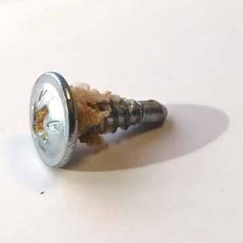 Ekmeğin İçinden Çıkan Akıllı Vida Şoku!