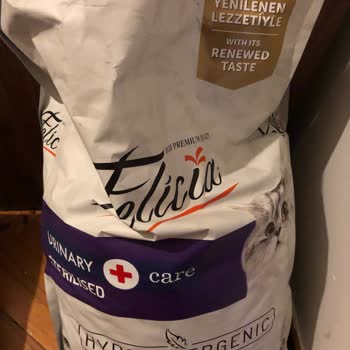 Kedilerimi Hasta Eden Mama Değişikliği!