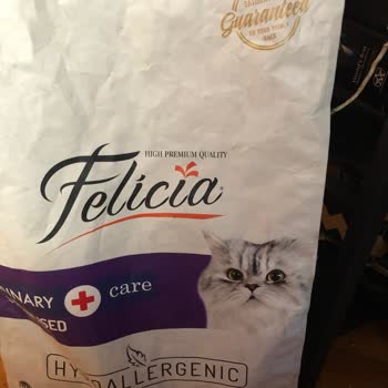 Kedilerimi Hasta Eden Mama Değişikliği!