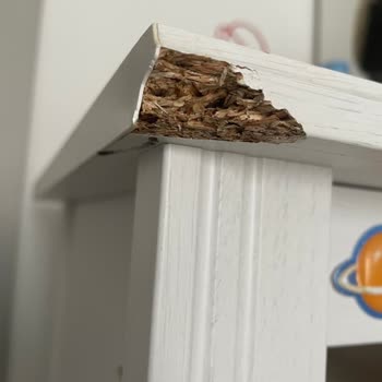 Tutku Nakliyat Taşıma Hizmetinde Sözler Tutulmadı Ve Eşyalar Zarar Gördü!