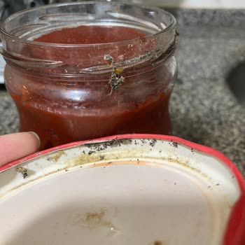 Hijyen Sorunu: Küflü Salça Ve İlgisiz Müşteri Hizmetleri