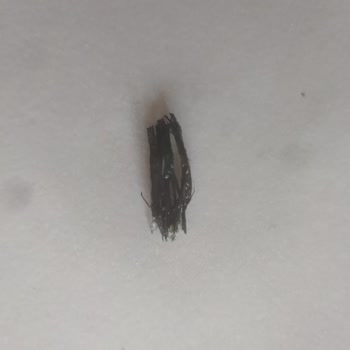 Börekteki Plastik Tehlikesi!