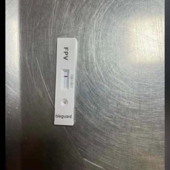 Antalya Hayvan Hastanesi Yanlış Teşhis Ve Kötü Hizmetle Karşılaştık