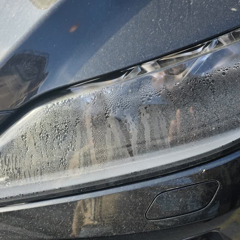 Lexus Türkiye'de Müşteri Hizmetleri Ve Garanti Sorunu