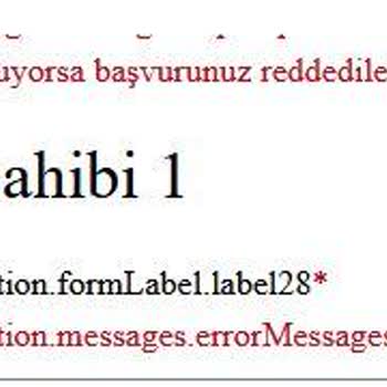 VFS Global Sitesinde Danimarka Vizesi Başvuru Sorunu