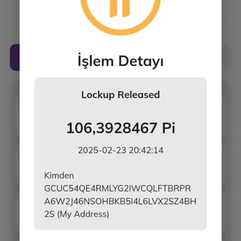 Pi Network Hesabımdan İzinsiz Pi Coin Transferi Ve Güvenlik Açığı