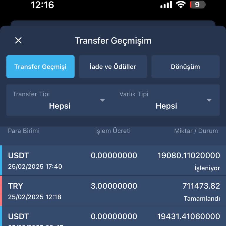 Bitexen Borsasında Bekleyen Dolar Transferi Sorunu