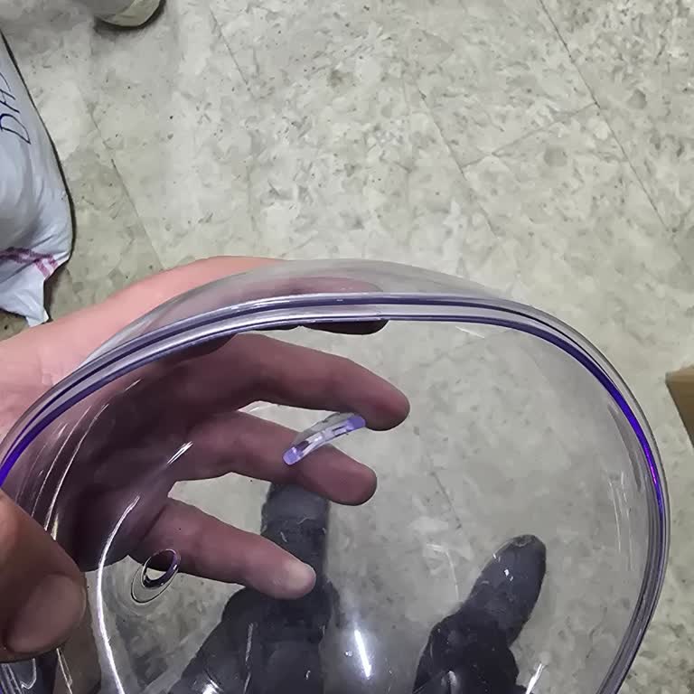 Sinbo Yumurta Pişirici Plastik Kapak Sorunu