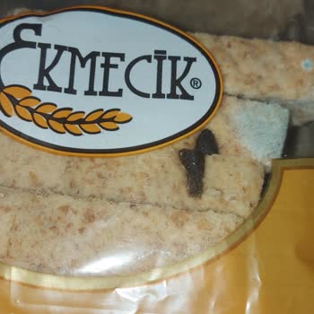 BİM'den Alınan Ekmekte Şok Edici Bulgu