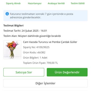 Yanlış Ürün Teslimatı: Kar Küresi Yerine Tütsülük Şoku!