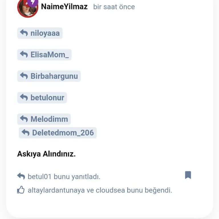 Moderasyon Keyfiyeti Ve Haksız Askı İşlemleri