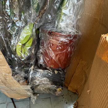 Yanlış Ve Eksik Ürün Teslimatı, Yetersiz Müşteri Hizmeti