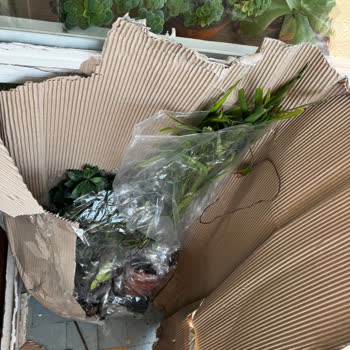 Yanlış Ve Eksik Ürün Teslimatı, Yetersiz Müşteri Hizmeti