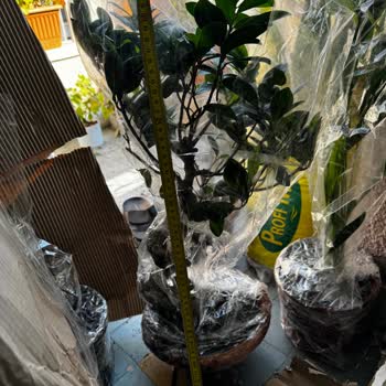 Yanlış Ve Eksik Ürün Teslimatı, Yetersiz Müşteri Hizmeti