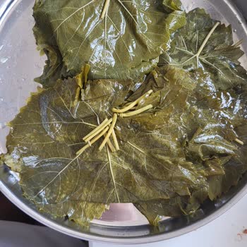 Ayşeli Köy Ürünleri Beklentilerle Uyuşmayan Salamura Yaprak Hayal Kırıklığı