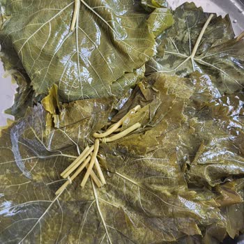 Ayşeli Köy Ürünleri Beklentilerle Uyuşmayan Salamura Yaprak Hayal Kırıklığı