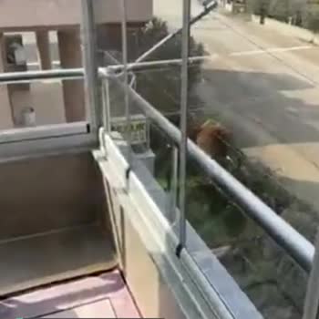İzmir Dikili Belediyesi Evimizin Önü Kazıldı, Aylardır Bakılmıyor!
