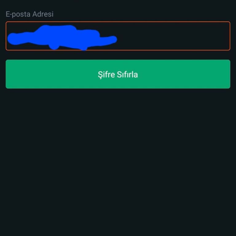 Bitci Kripto Borsasında Hesap Erişim Sorunu Ve Kapanan Hesap