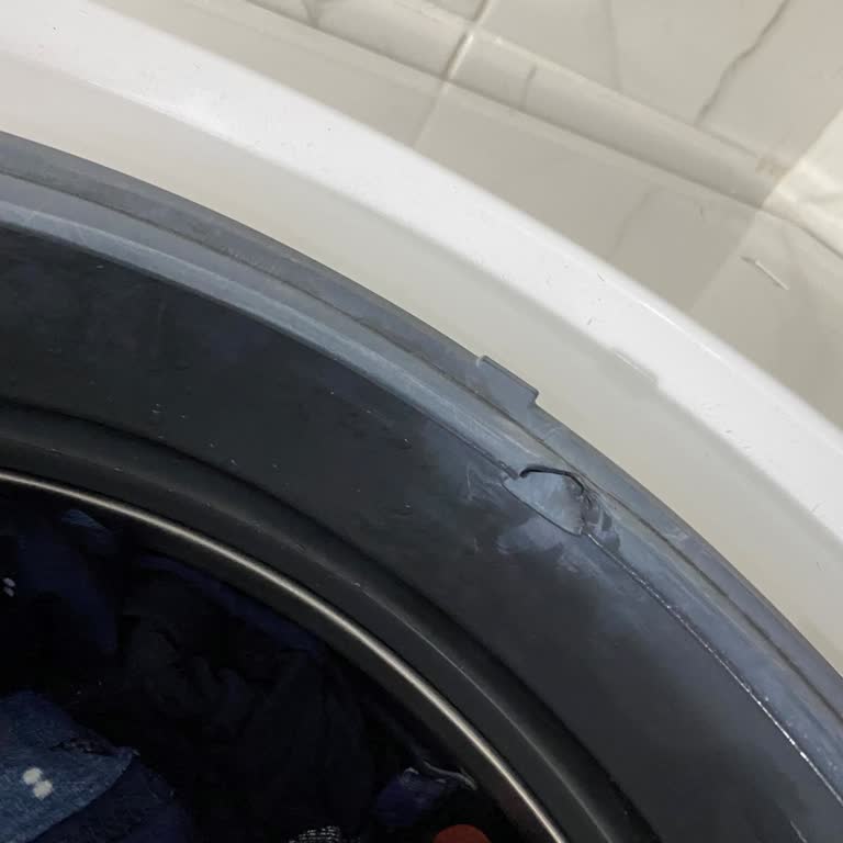 Profilo Çamaşır Makinesi Körük Lastiği Sorunu