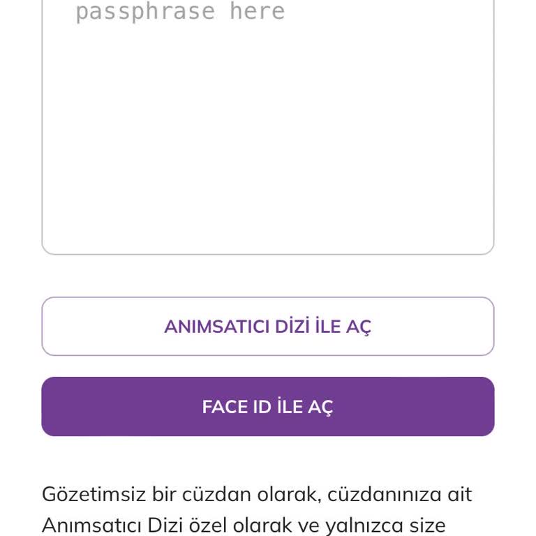 Pi Network Cüzdan Erişim Sorunu