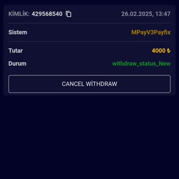 Oasis Slot Sitesinde Çekim Onayı Sorunu