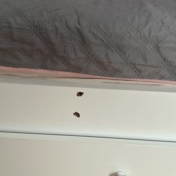 Modoko Almila Mobilya'da Ürün Değişiminde Sorun Yaşıyorum