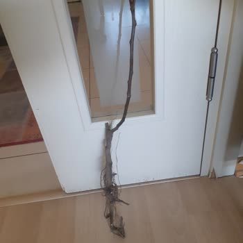 Yanıltıcı Reklamla Gelen Hayal Kırıklığı