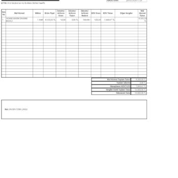 Kombi Servisinde Mağduriyet: Ödediğim Paranın Karşılığını Alamıyorum!