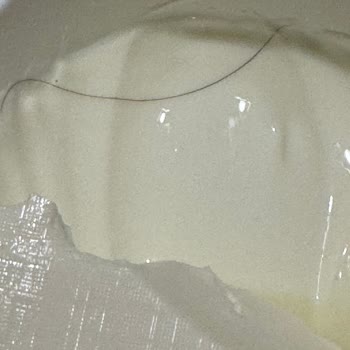 Torku Peynirde Şok Edici Buluntu!