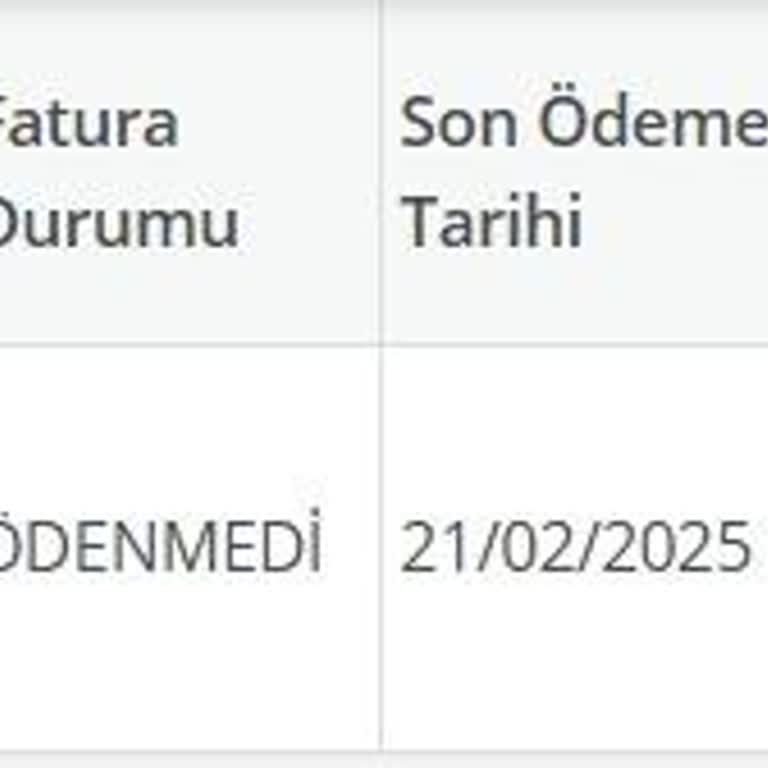 Elektrik Faturası Ödeme Tarihi Sorunu