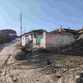 Kırıkkale Belediyesi Yıkım Sonrası Kalan Hafriyat Ve Çevre Kirliliği Sorunu