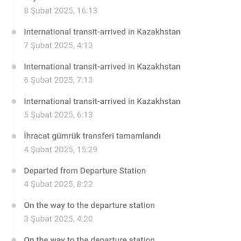 Temu Alışveriş Uygulamasında Teslimat Sorunu