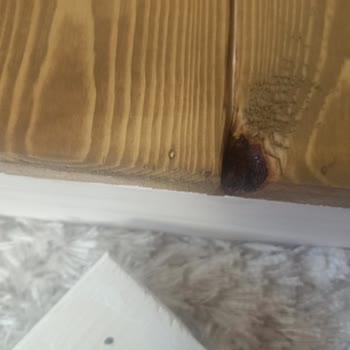 Yanlış Gelen Ürün, İletişimsizlik Ve Hayal Kırıklığı