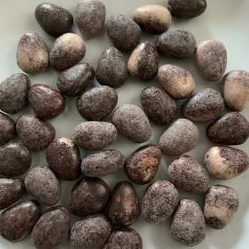 Bozuk Çikolatalar: Patiswiss Hayal Kırıklığı