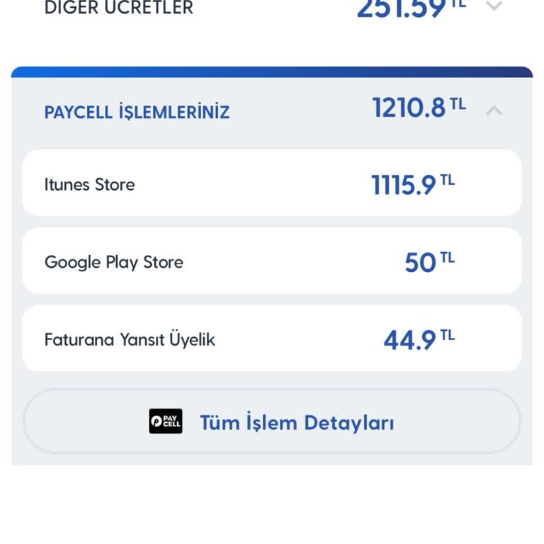 Yanlış Fatura Şoku: 1115 TL İade Talebi