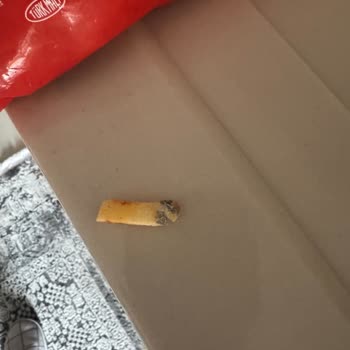 Küflü Patates Kızartması Ve İletişim Sorunu