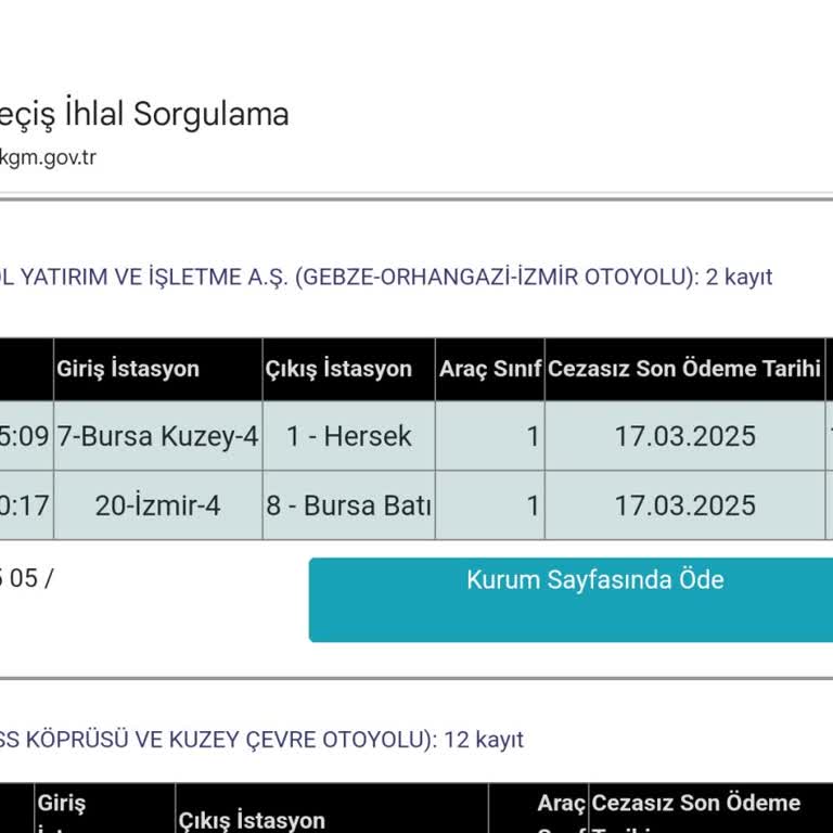 Haksız Ücretlendirme: Ceza Miktarına İtirazım Var
