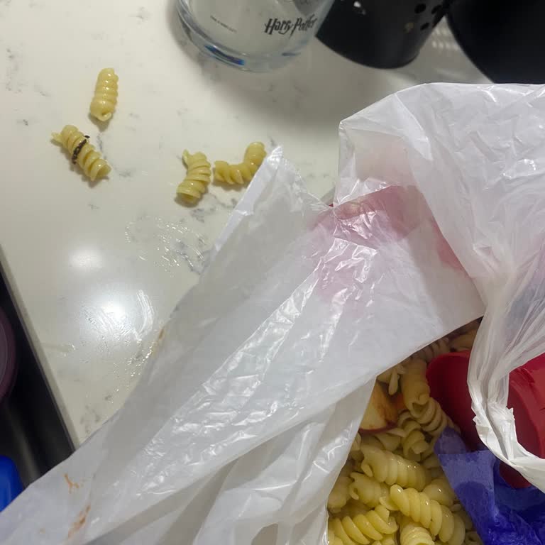 BİM'den Aldığım Makarna Böcekli Çıktı!