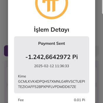 Pi Network Pi Coin İadesi!